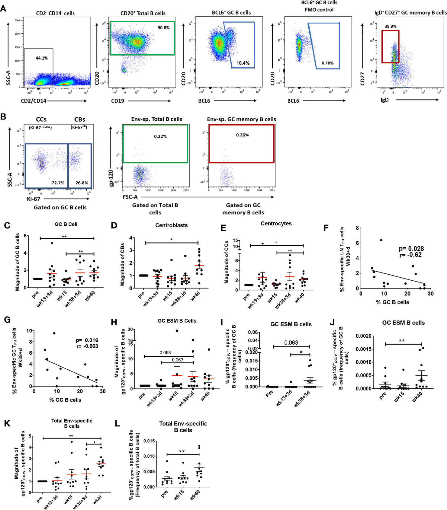 Frontiers | TFH Cells Induced by Vaccination and Following SIV ...