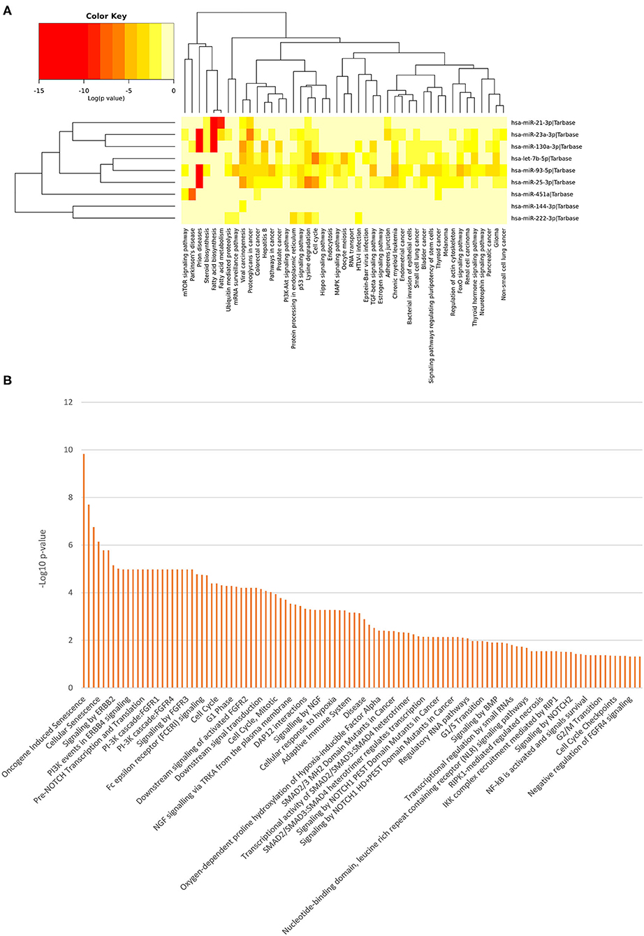 Frontiers | Enrichment and Correlation Analysis of Serum ...