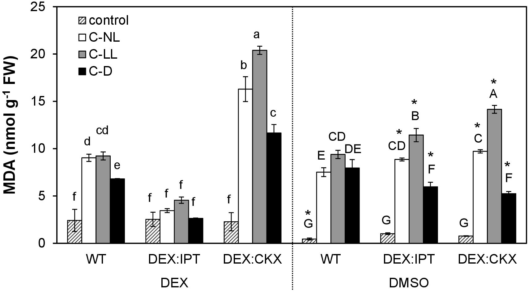 A) HPLC trace of trans-click reaction between 5Tz and glutathione