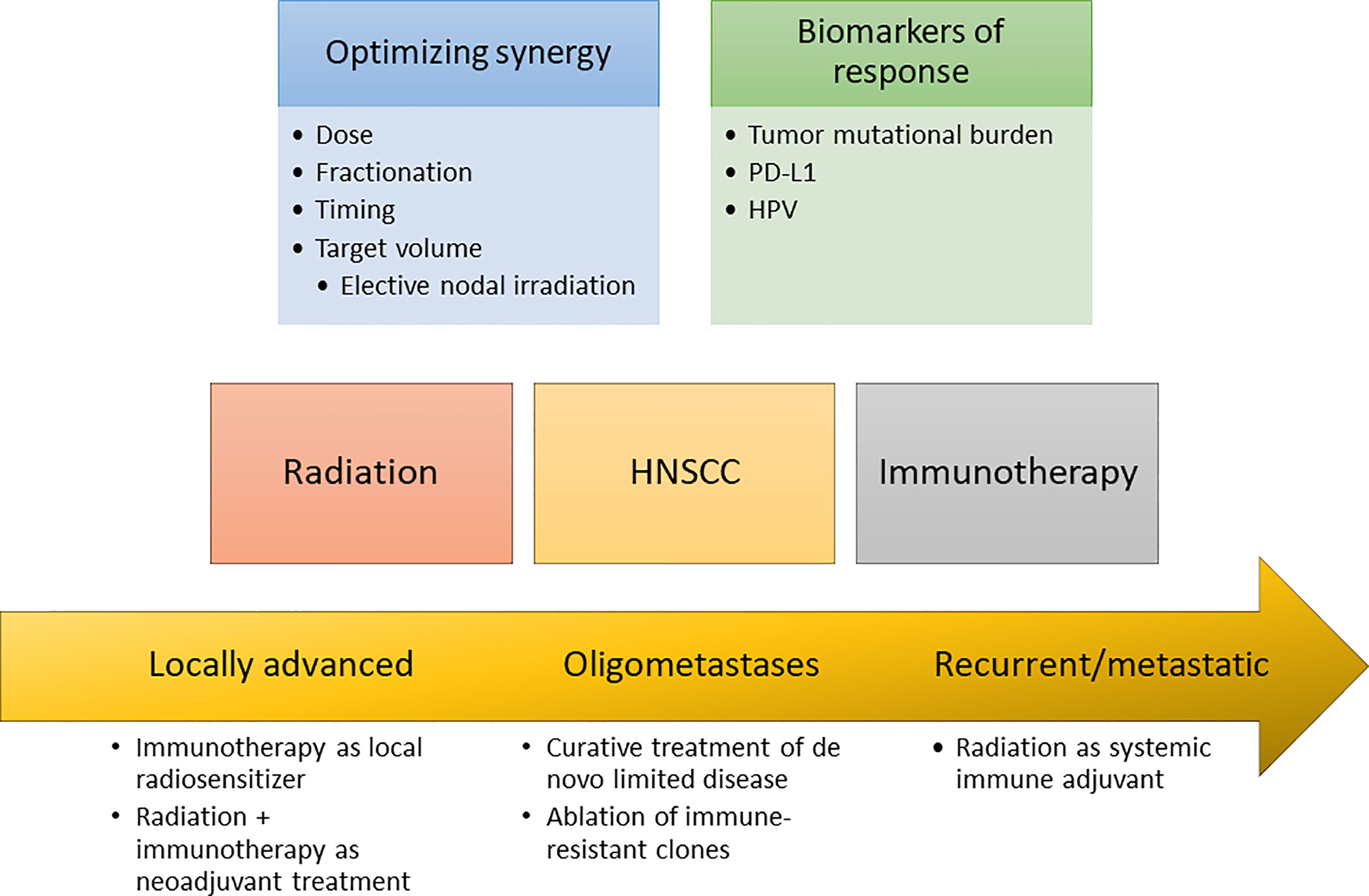 Frontiers Radiotherapy And Immunotherapy For Head And Neck Cancer