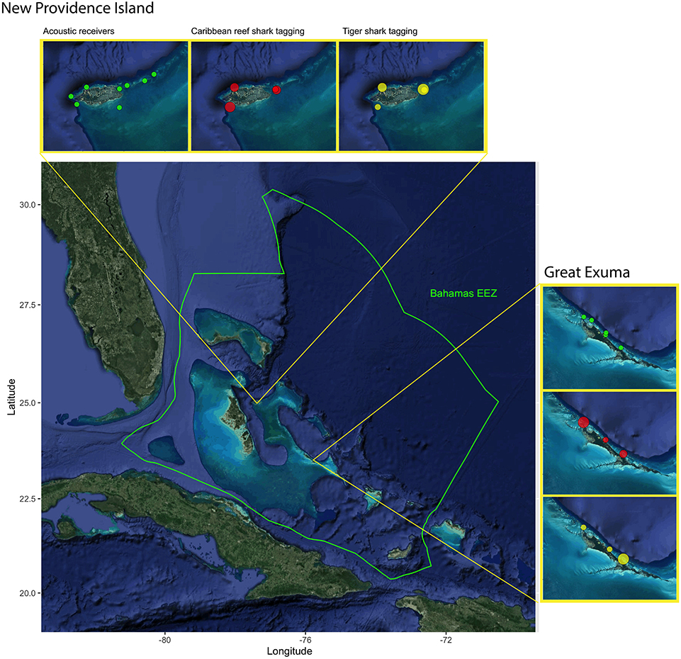 Current threats to coastal seagrass ecosystems – Shark Research &  Conservation Program (SRC)