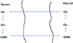 www.frontiersin.org