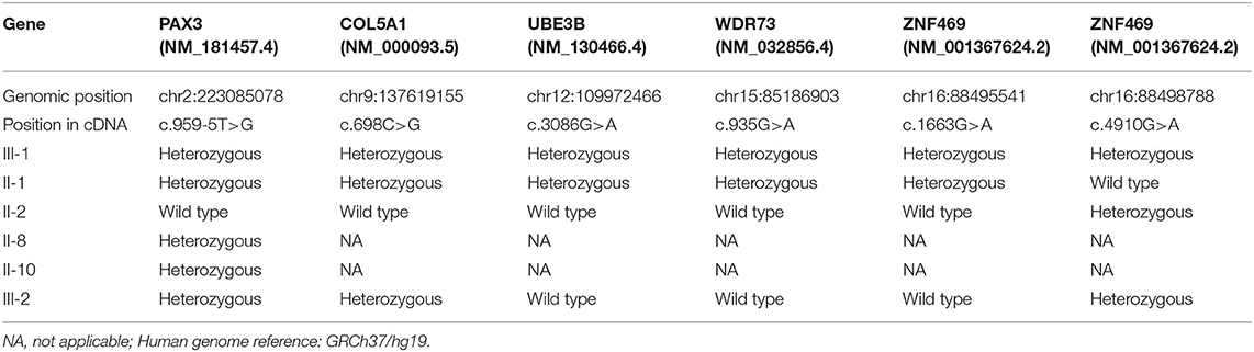Frontiers  Case Report: Low-Level Maternal Mosaicism of a Novel CREBBP  Variant Causes Recurrent Rubinstein-Taybi Syndrome in Two Siblings of a  Chinese Family