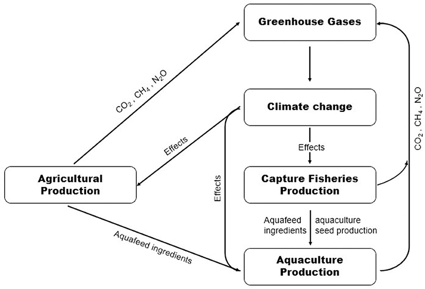 Frontiers Climate Change Effects On Aquaculture Production Sustainability Implications Mitigation And Adaptations