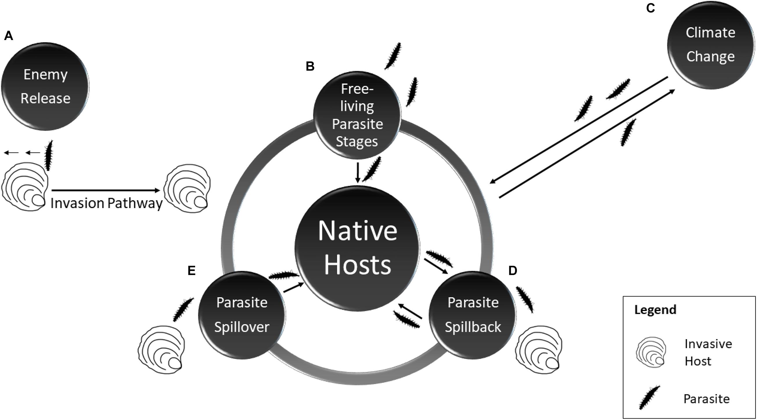 Hosts native