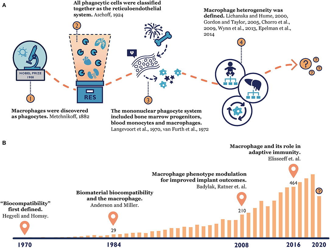 Frontiers  Foreign Body Reaction to Implanted Biomaterials and