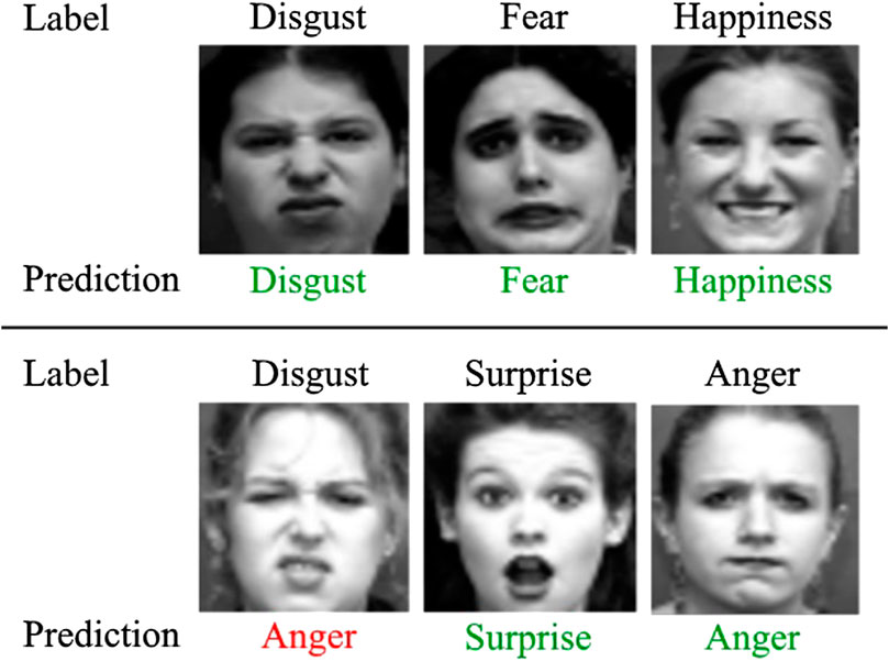 Frontiers Emotionnet Nano An Efficient Deep Convolutional Neural