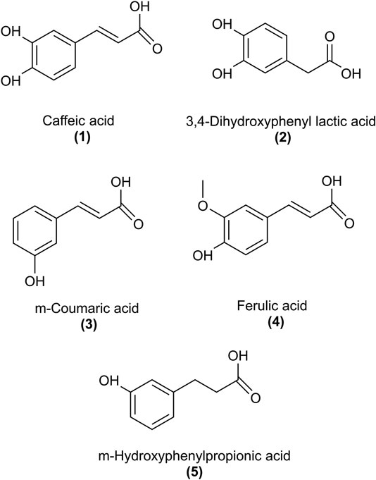 Frontiers Short Chain C4 Esterification Increases Bioavailability Of Rosmarinic Acid And Its Potency To Inhibit Vascular Smooth Muscle Cell Proliferation Pharmacology