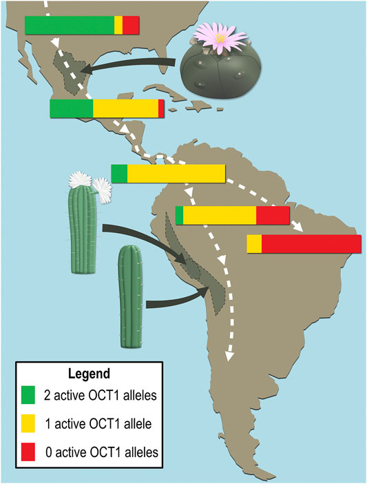 www.frontiersin.org