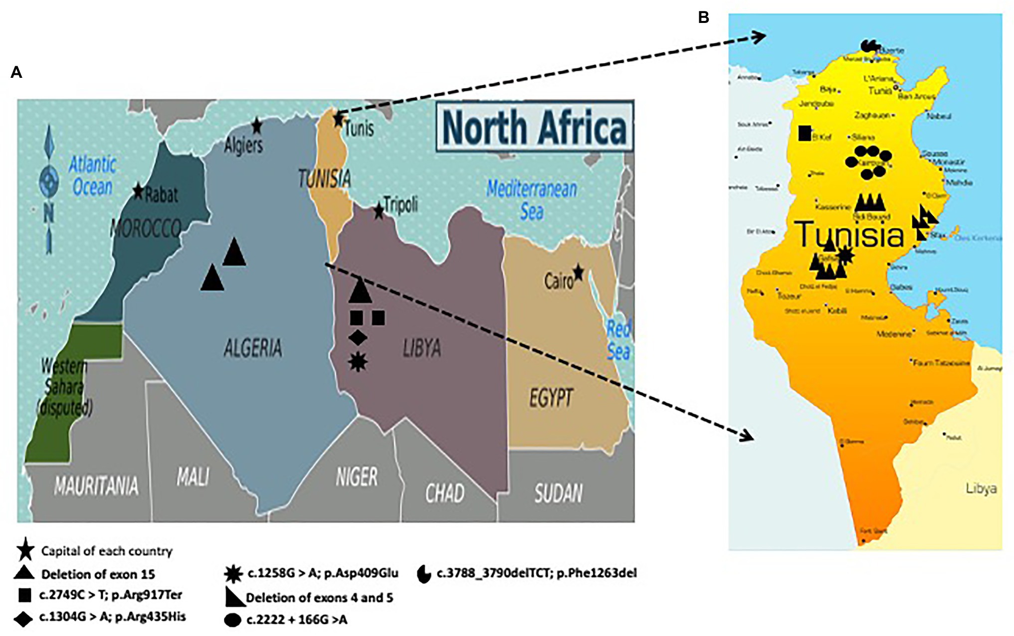 www.frontiersin.org