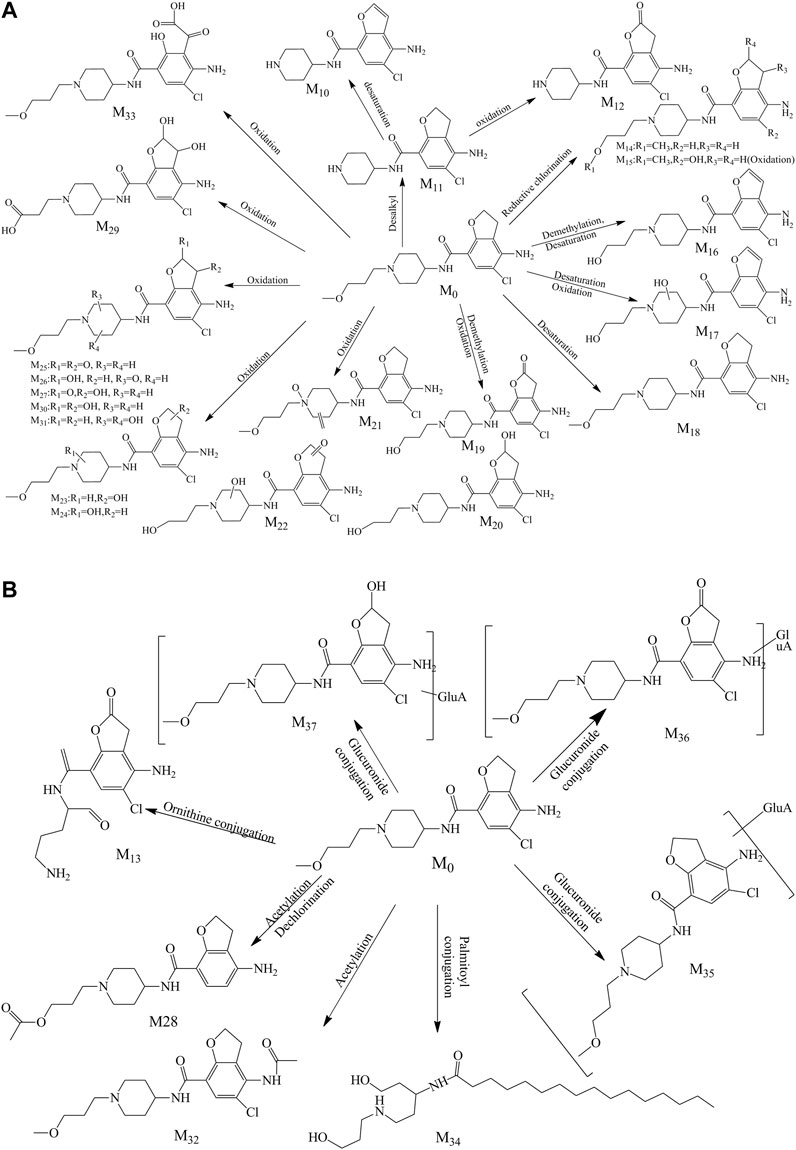Frontiers | An Entire Process Optimization Strategy for Comprehensive In Vivo Metabolite ...