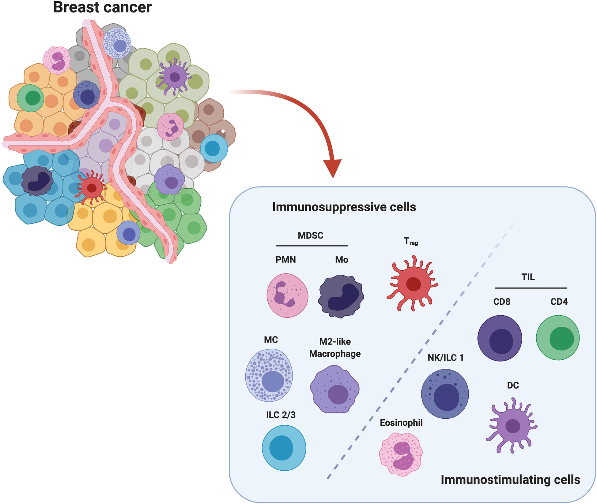 Crosstalk between triple negative breast cancer and microenvironment