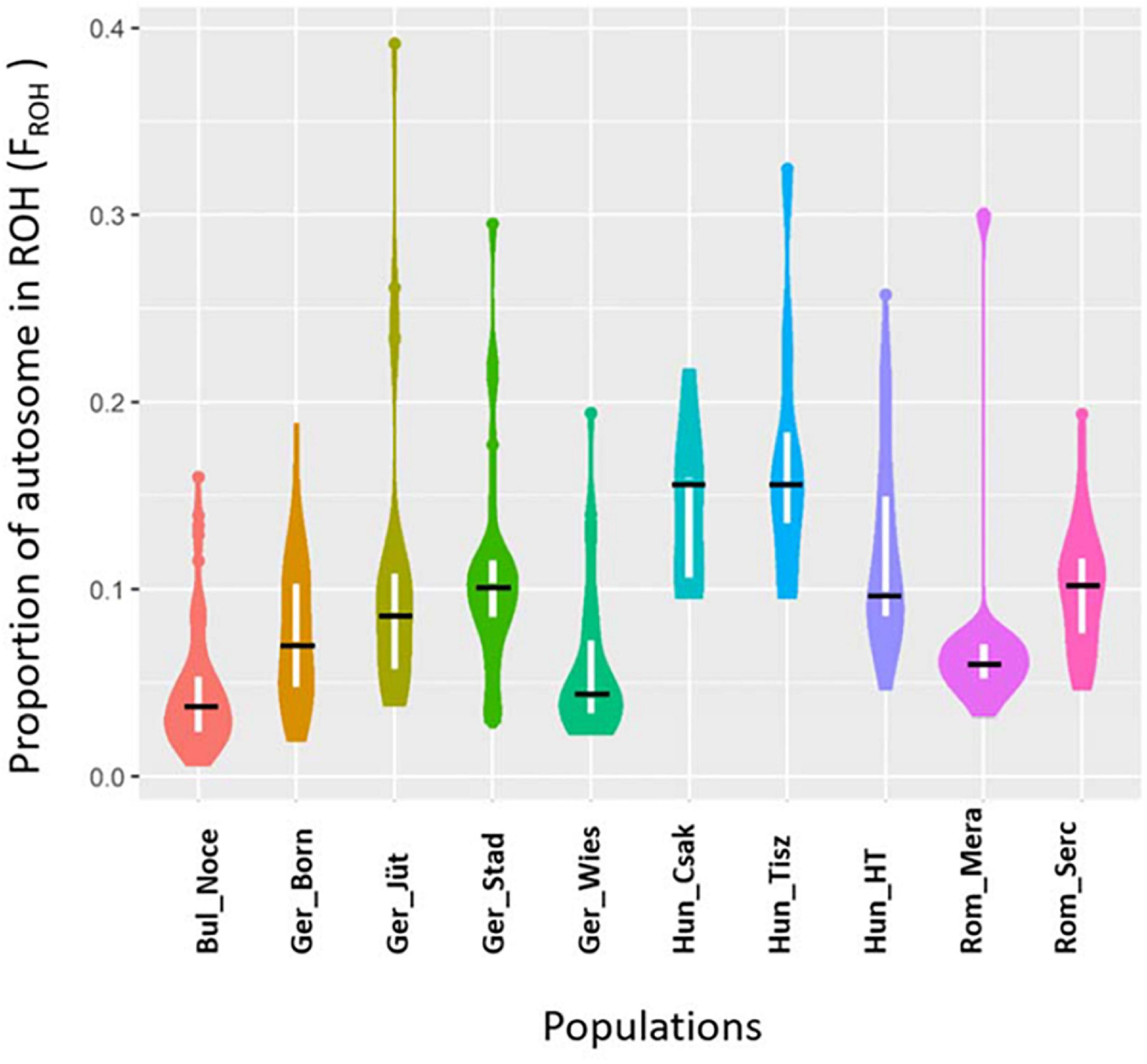 Violin plots of mean total sum of ROH longer than 1 Mb (in Gb