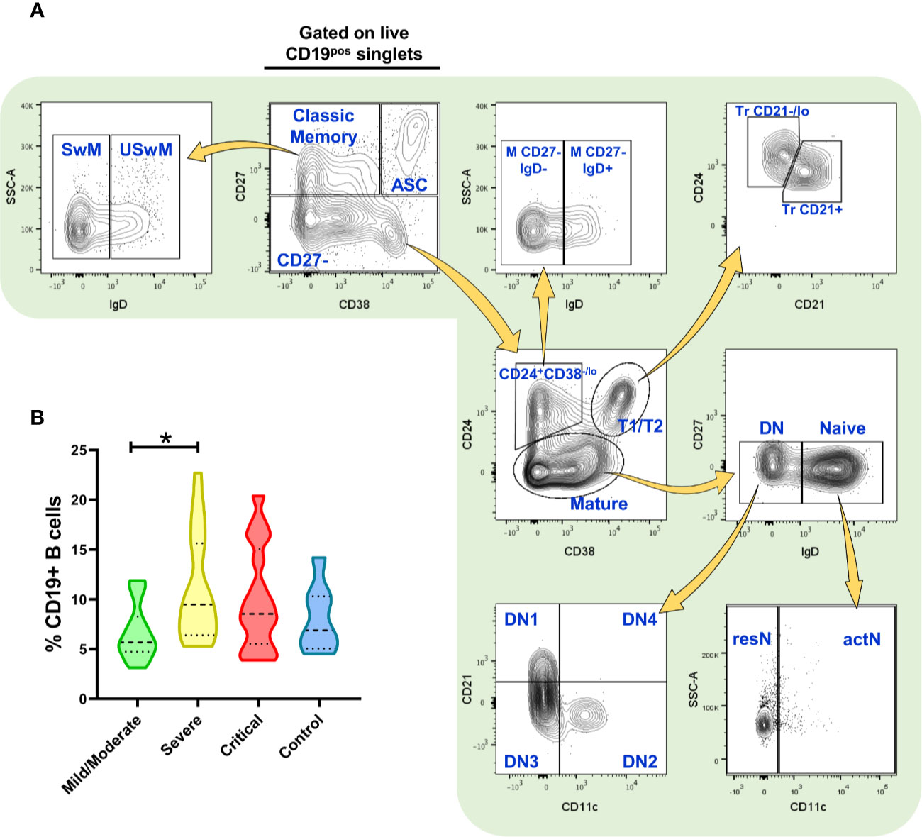 Проточная цитометрия cd19. CD 19 маркер. Flow Cytometry Analysis. CD 19 маркер IHC.