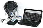 www.frontiersin.org