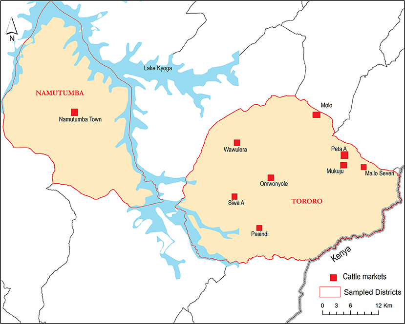 www.frontiersin.org