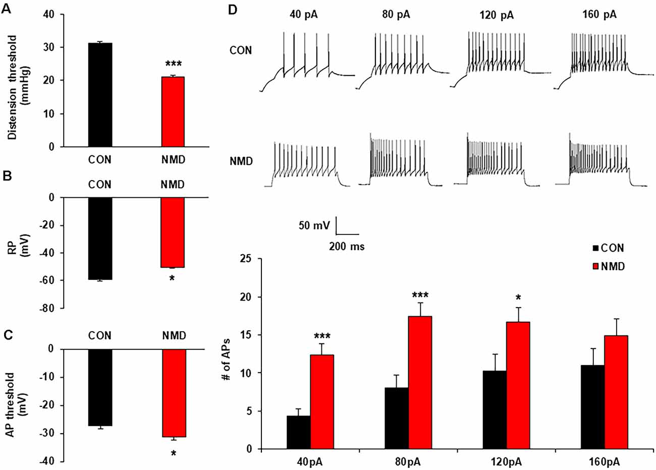 Frontiers Upregulation of Spinal ASIC1 and NKCC1 Expression