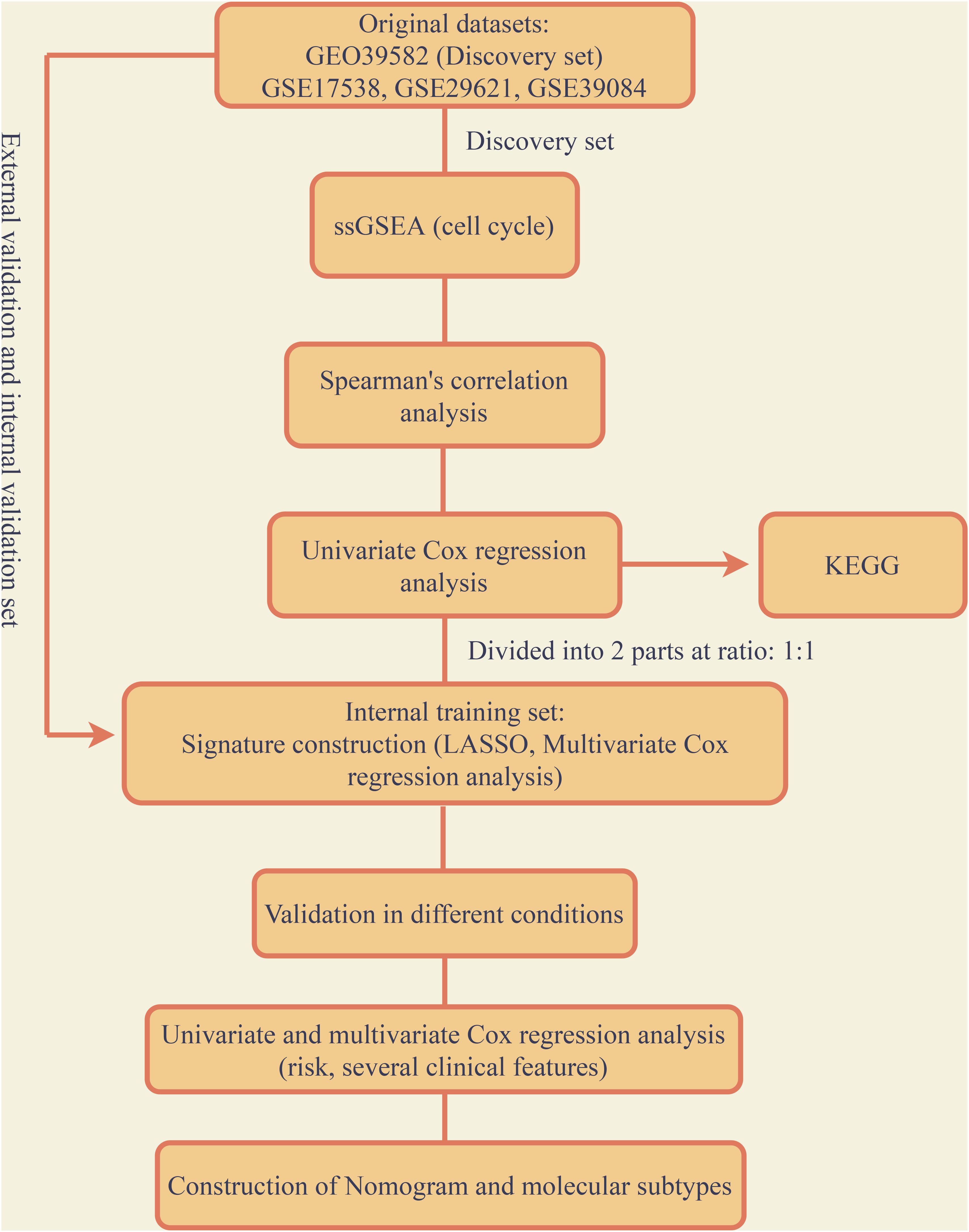 Biology Flow Chart Flow Chart Example Biology