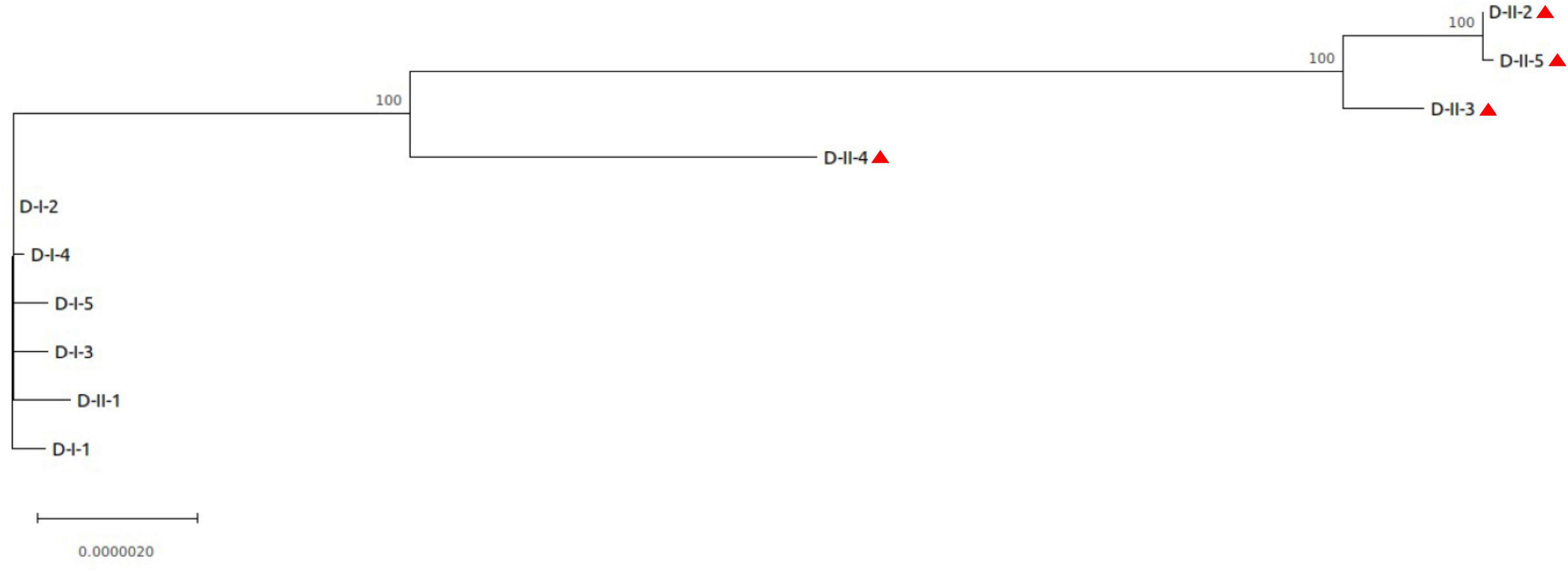 www.frontiersin.org