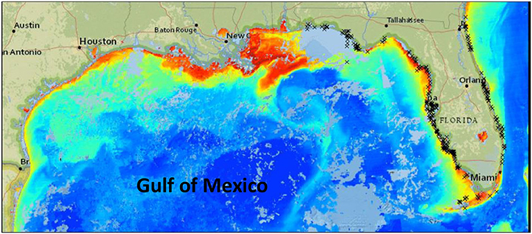 Figure 2 - CoastWatch satellite imagery allows scientists to map the presence of HABs formed by the dinoflagellate Karenia brevis in the Gulf of Mexico, along the southeast boarder of the United States.