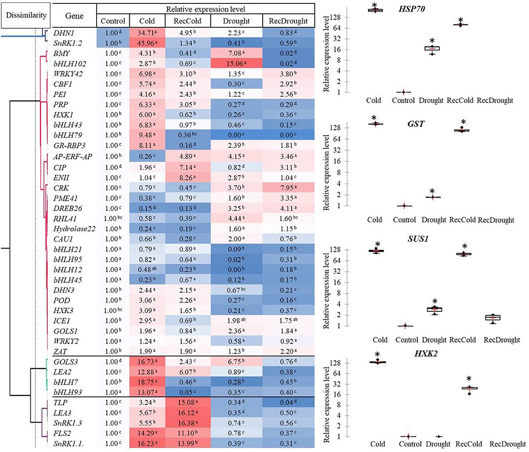 Expression levels. Relative expression statistics.