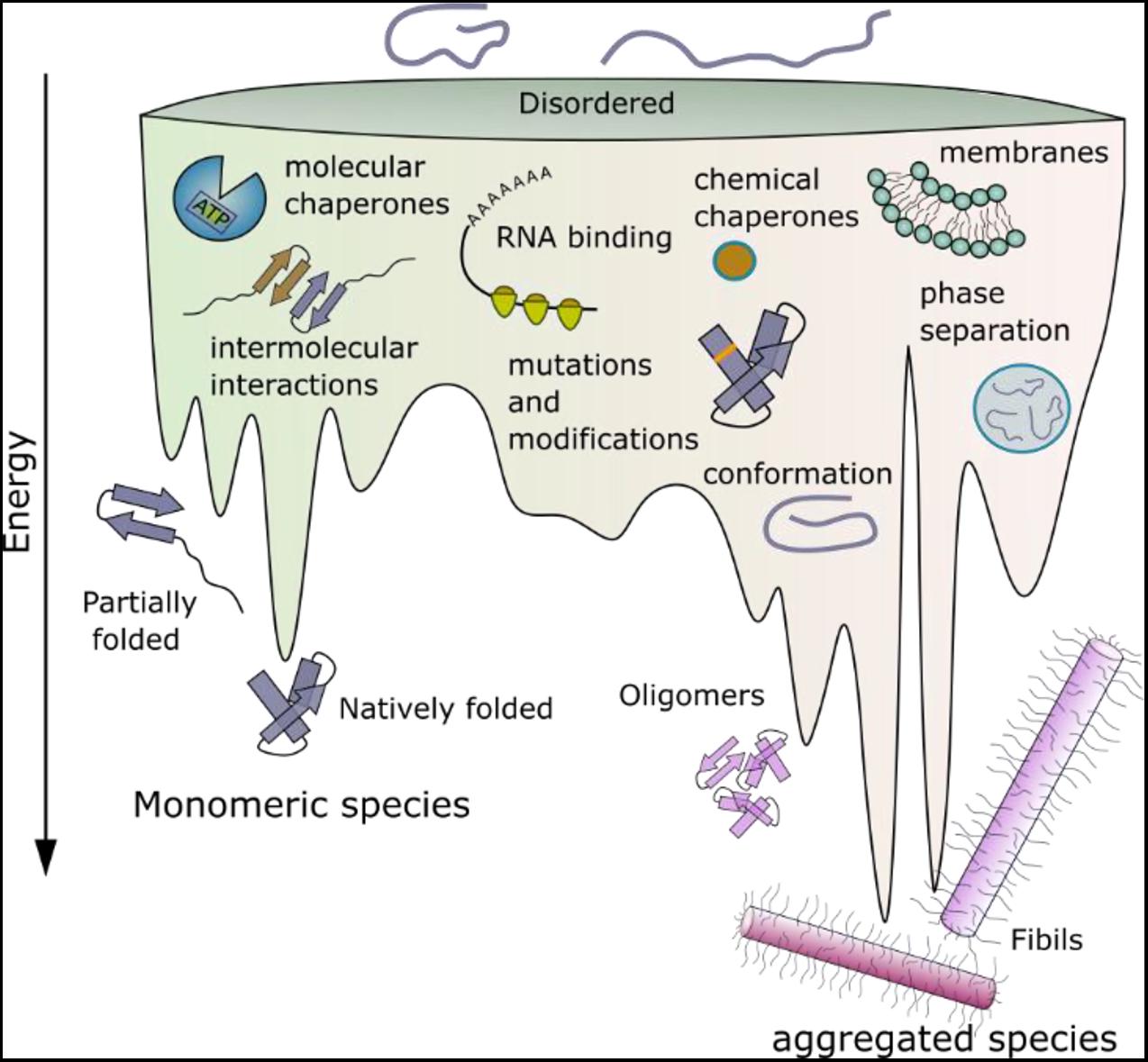 DNA Flanking Region - an overview