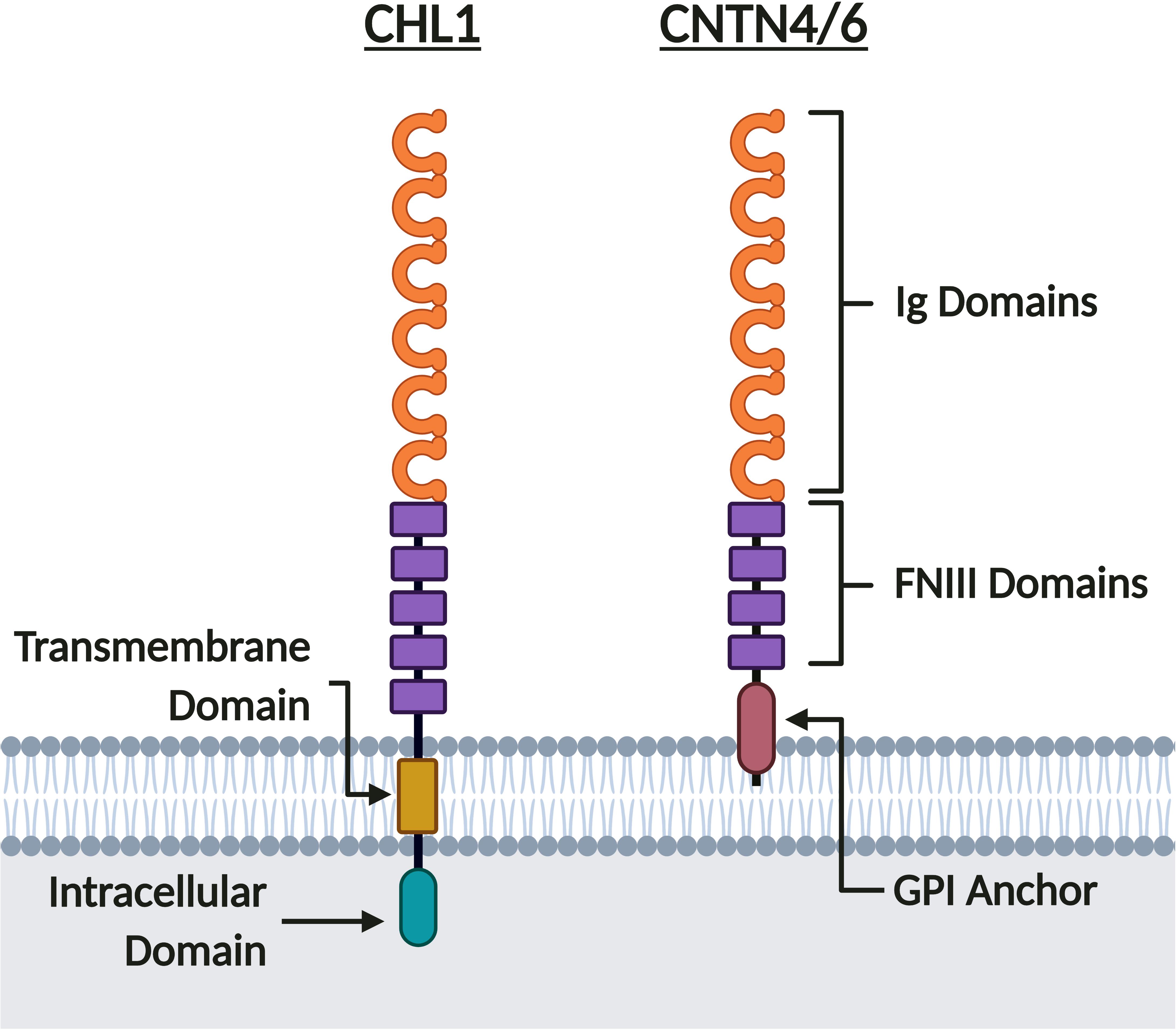 www.frontiersin.org