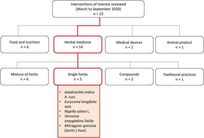 A comprehensive perspective of traditional Arabic or Islamic medicinal  plants as an adjuvant therapy against COVID-19 - ScienceDirect