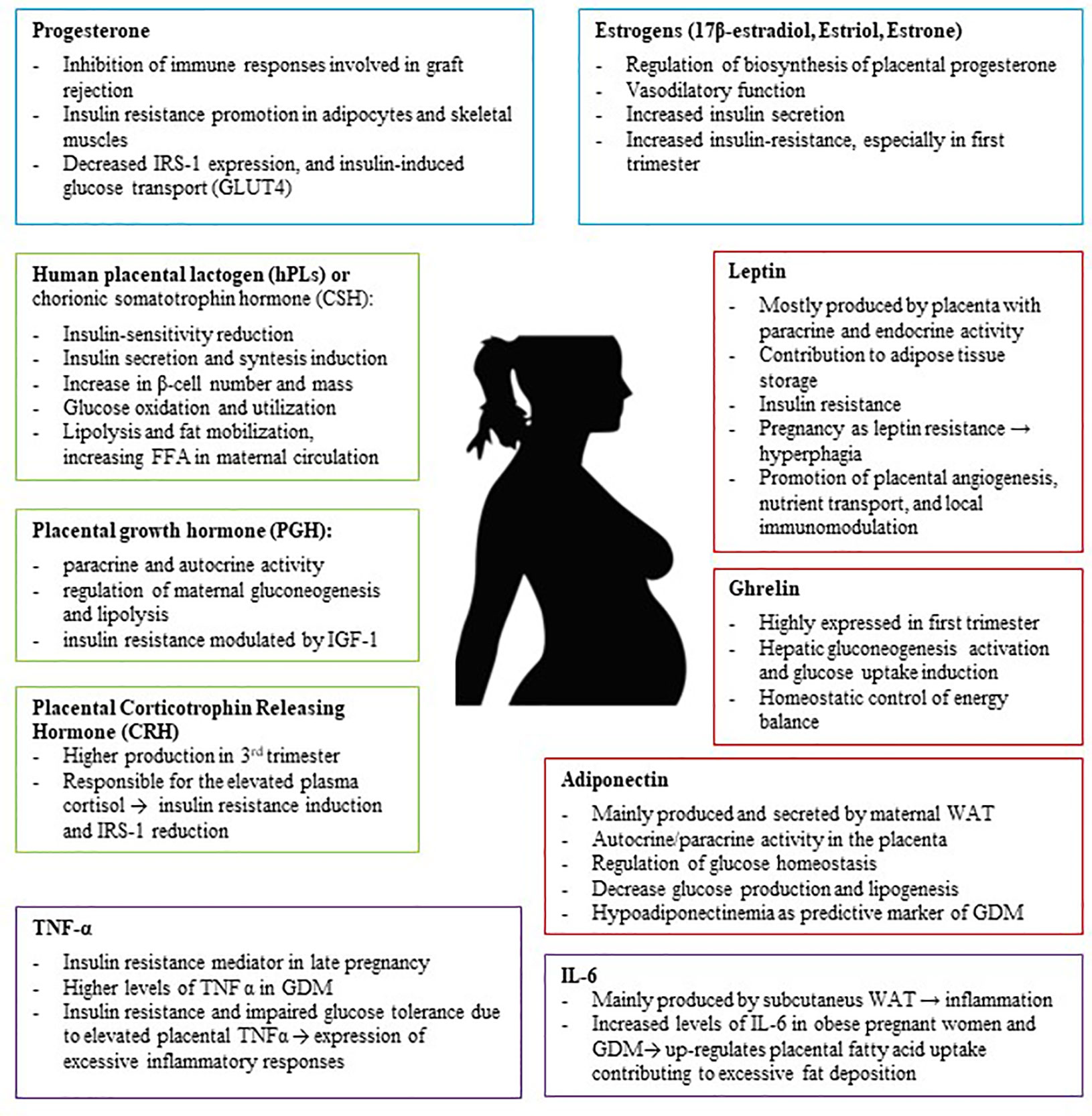 pregnancy diabetes pdf