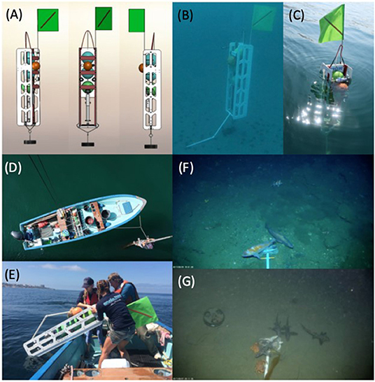 Figure 1 - Here are the many stages of DOV BEEBE, our deep-sea spy: (A) computerized design; (B) underwater and in position to collect data; (C) floating on the ocean surface, waiting to be retrieved; (D) being transported in the back of a small boat; and (E) ready for deployment.