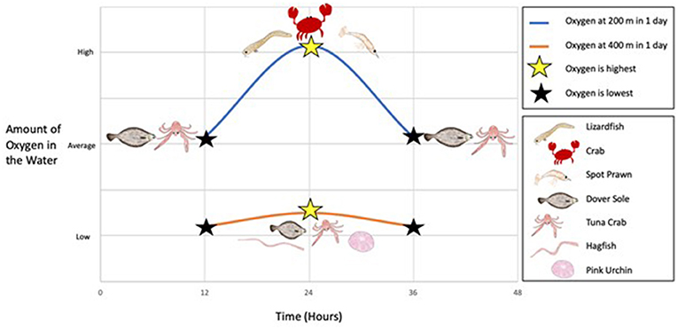 Figure 3 - Oxygen variability and animals present at 200 and 400 m.