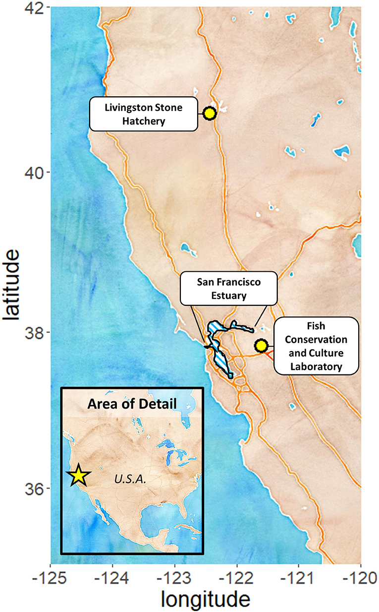 Figure 2 - Conservation hatcheries and the San Francisco Estuary.