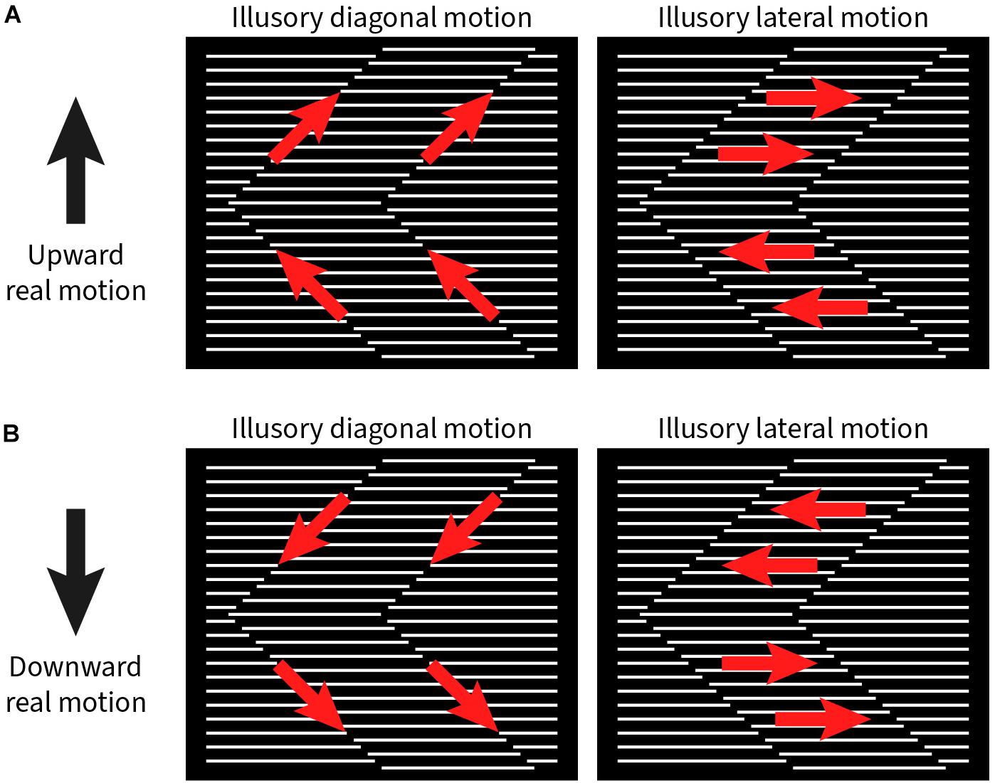 The Rotating-Tilted-Lines Illusion