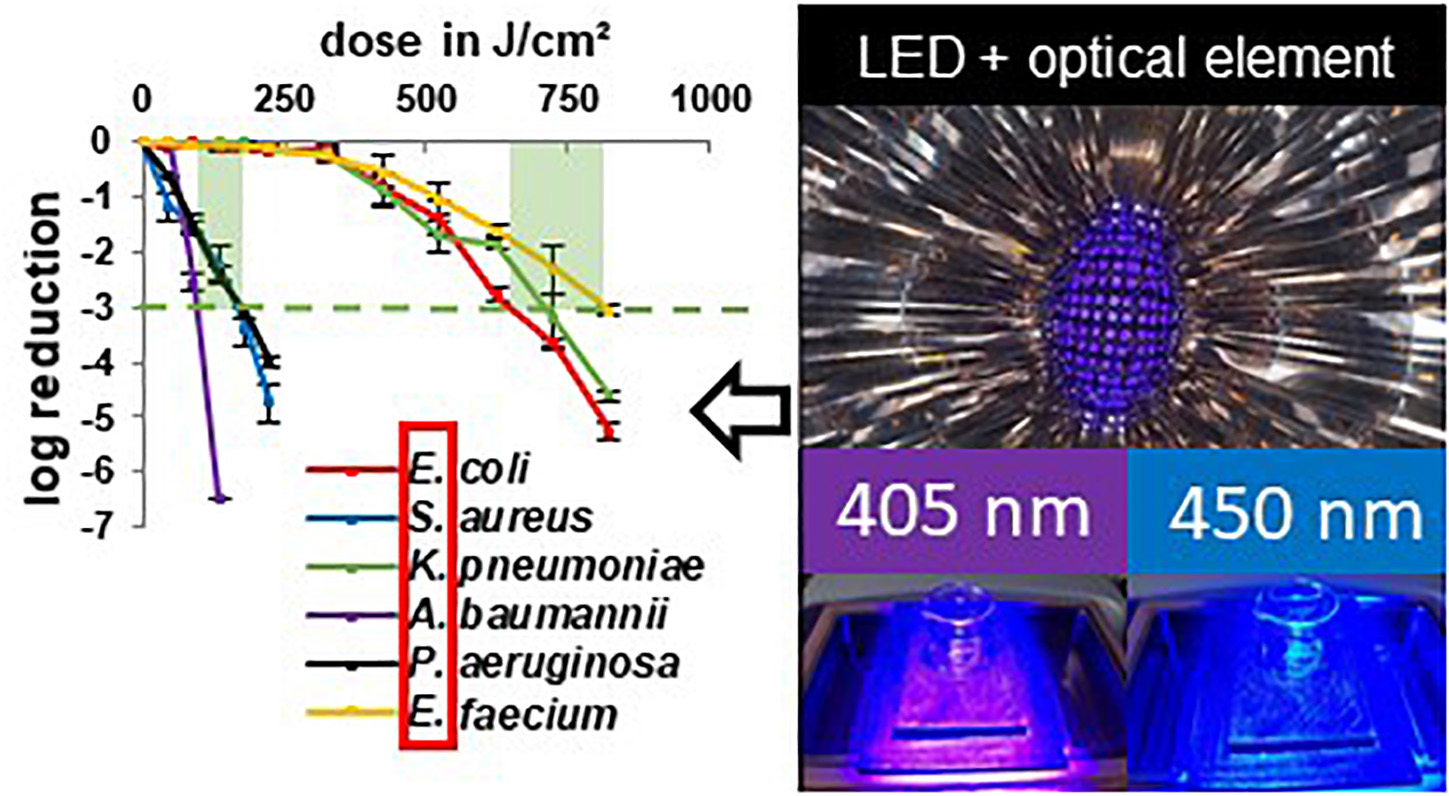 plasticitet Livlig Array af Frontiers | Inactivation Effect of Violet and Blue Light on ESKAPE  Pathogens and Closely Related Non-pathogenic Bacterial Species – A  Promising Tool Against Antibiotic-Sensitive and Antibiotic-Resistant  Microorganisms