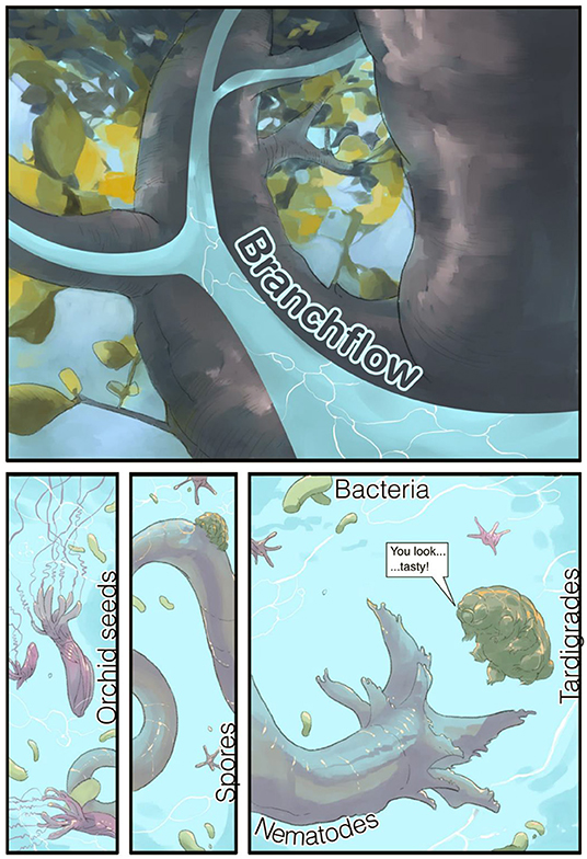 Figure 2 - Creatures found in branchflows can include nightmarish nematodes, cute tardigrades, orchid seeds, lots of bacteria, and many fungal spores.