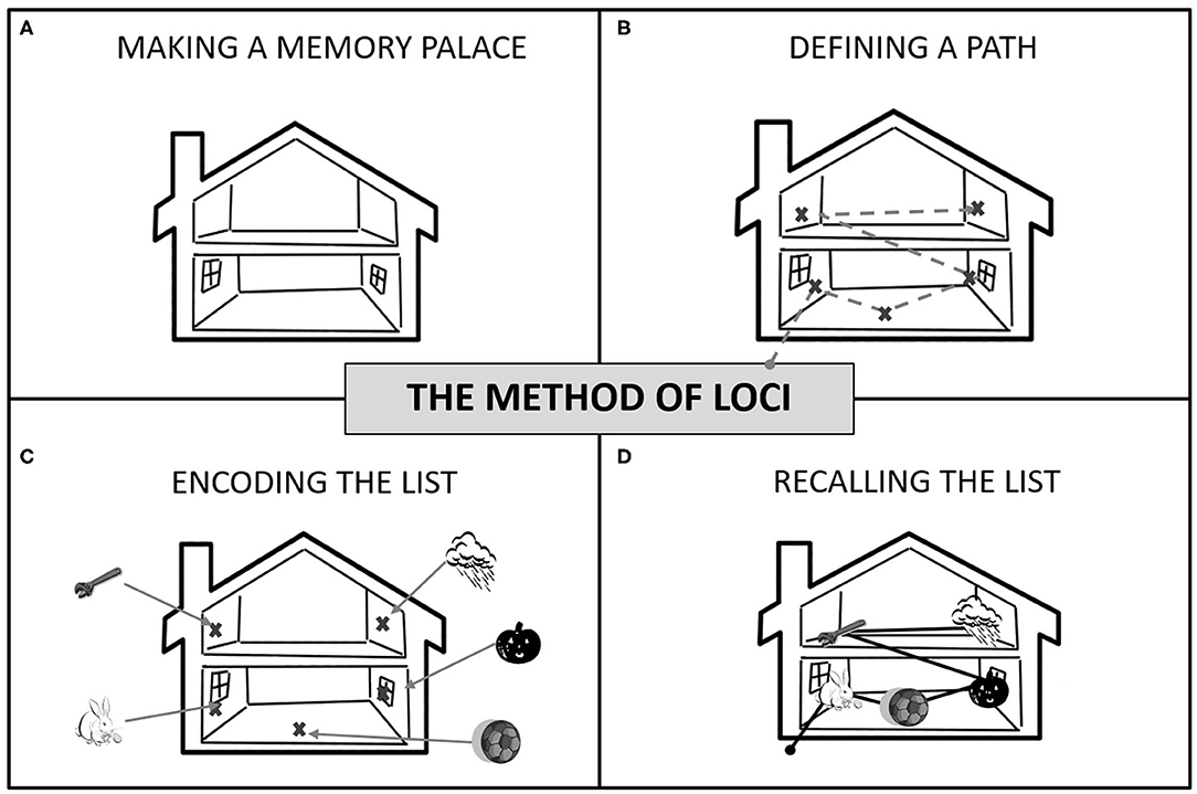 Frontiers | A Feasibility Study on the Use of the Method of Loci for  Improving Episodic Memory Performance in Schizophrenia and Non-clinical  Subjects | Psychology