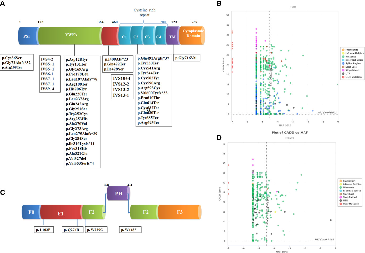 Frontiers Clinical And Genetic Spectrum Of A Large Cohort Of Patients With Leukocyte Adhesion Deficiency Type 1 And 3 A Multicentric Study From India Immunology