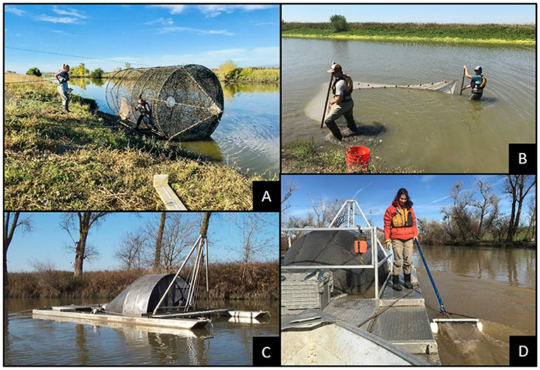 Figure 1 - Sampling methods used by the Yolo Bypass Fish Monitoring Program.