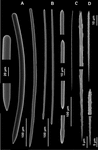 www.frontiersin.org
