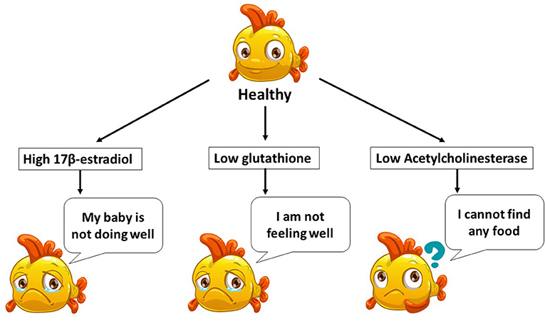 Figure 3 - Potential negative impacts of fluridone on delta smelt.