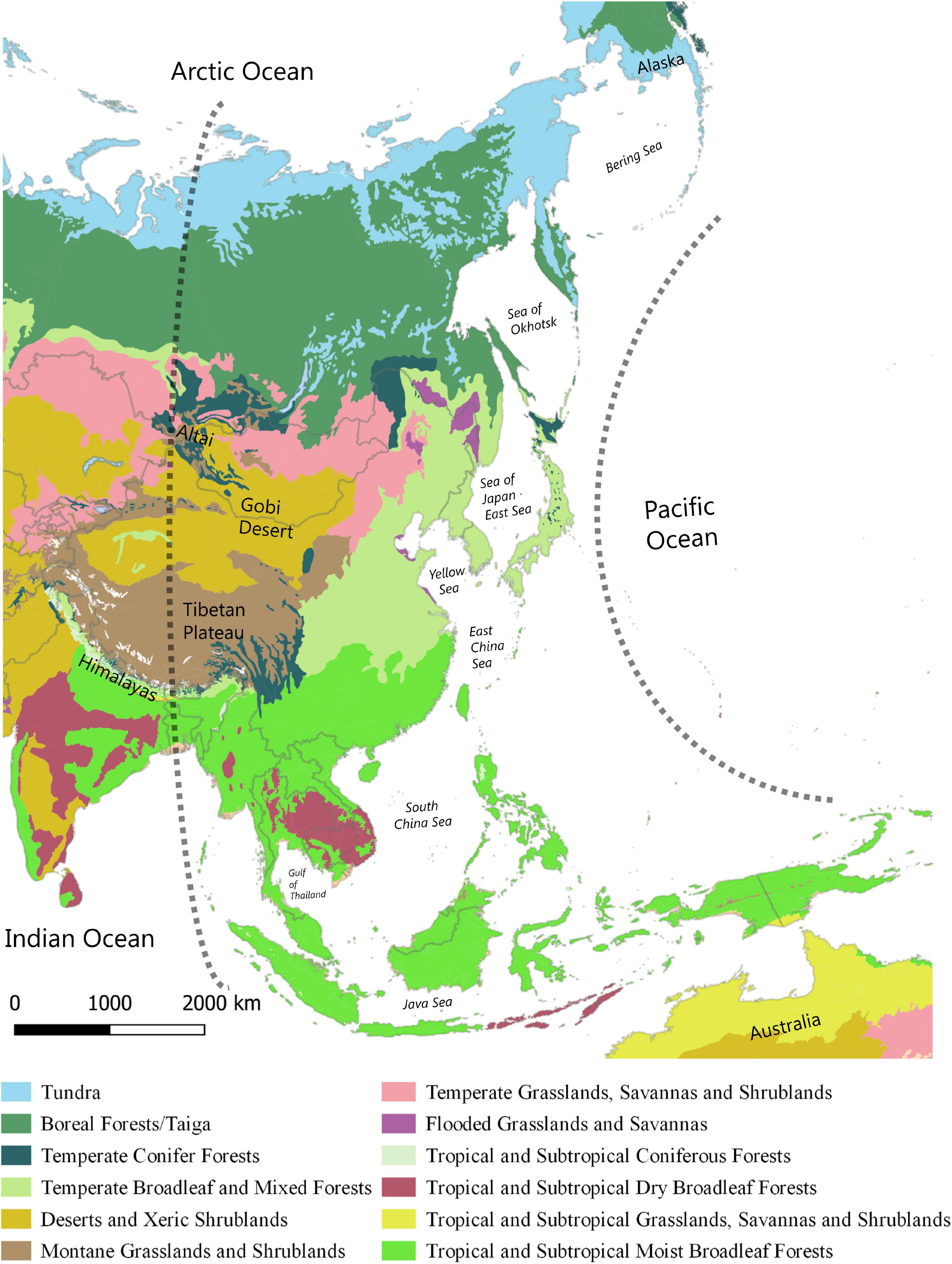 Autumn migration routes of four adult hobbies recorded by satellite