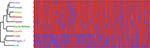www.frontiersin.org