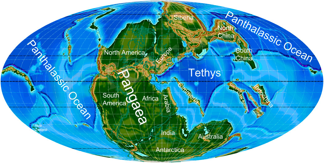 www.frontiersin.org
