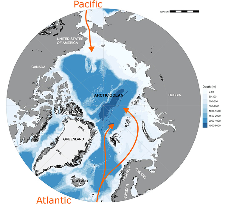 Figure 1 - Plastic litter is transported to the Arctic Ocean with water currents (orange) from the Atlantic and Pacific Oceans, and also with air currents.