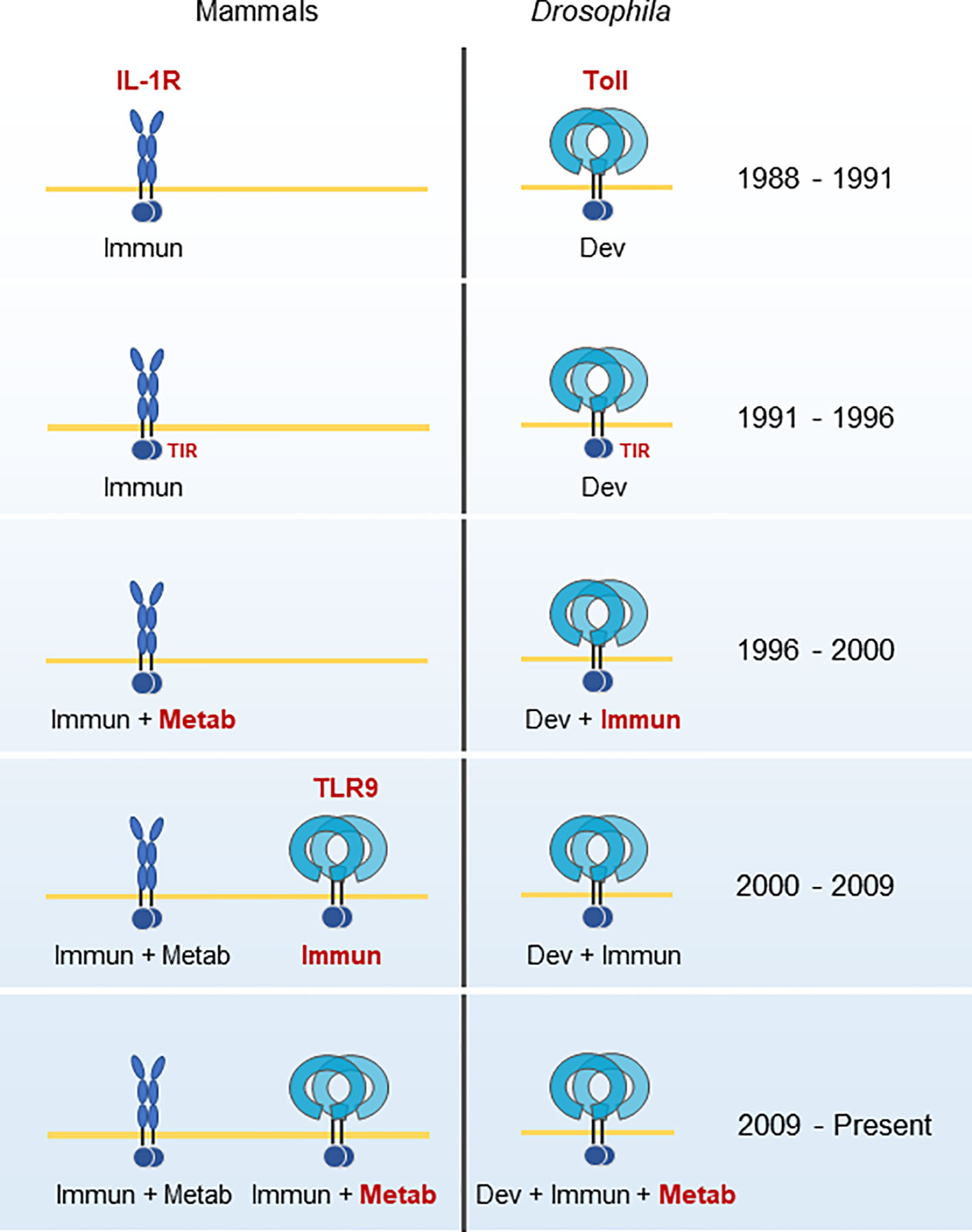 www.frontiersin.org