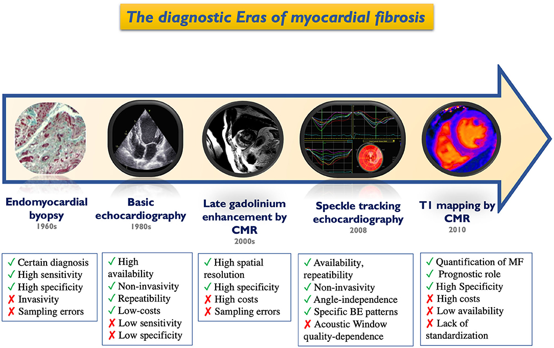 Frontiers  Association Between 2D- and 3D-Speckle-Tracking Longitudinal  Strain and Cardiovascular Magnetic Resonance Evidence of Diffuse Myocardial  Fibrosis in Heart Transplant Recipients