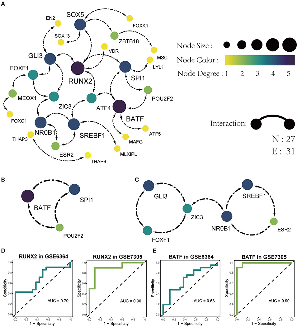 cytoscape transcription factor cytoscape transcription factor