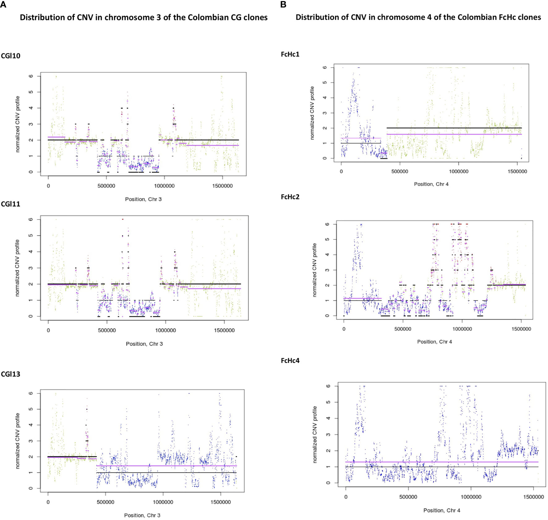 Frontiers  Trypanosoma cruzi Genomic Variability: Array