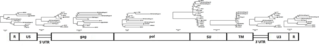 www.frontiersin.org
