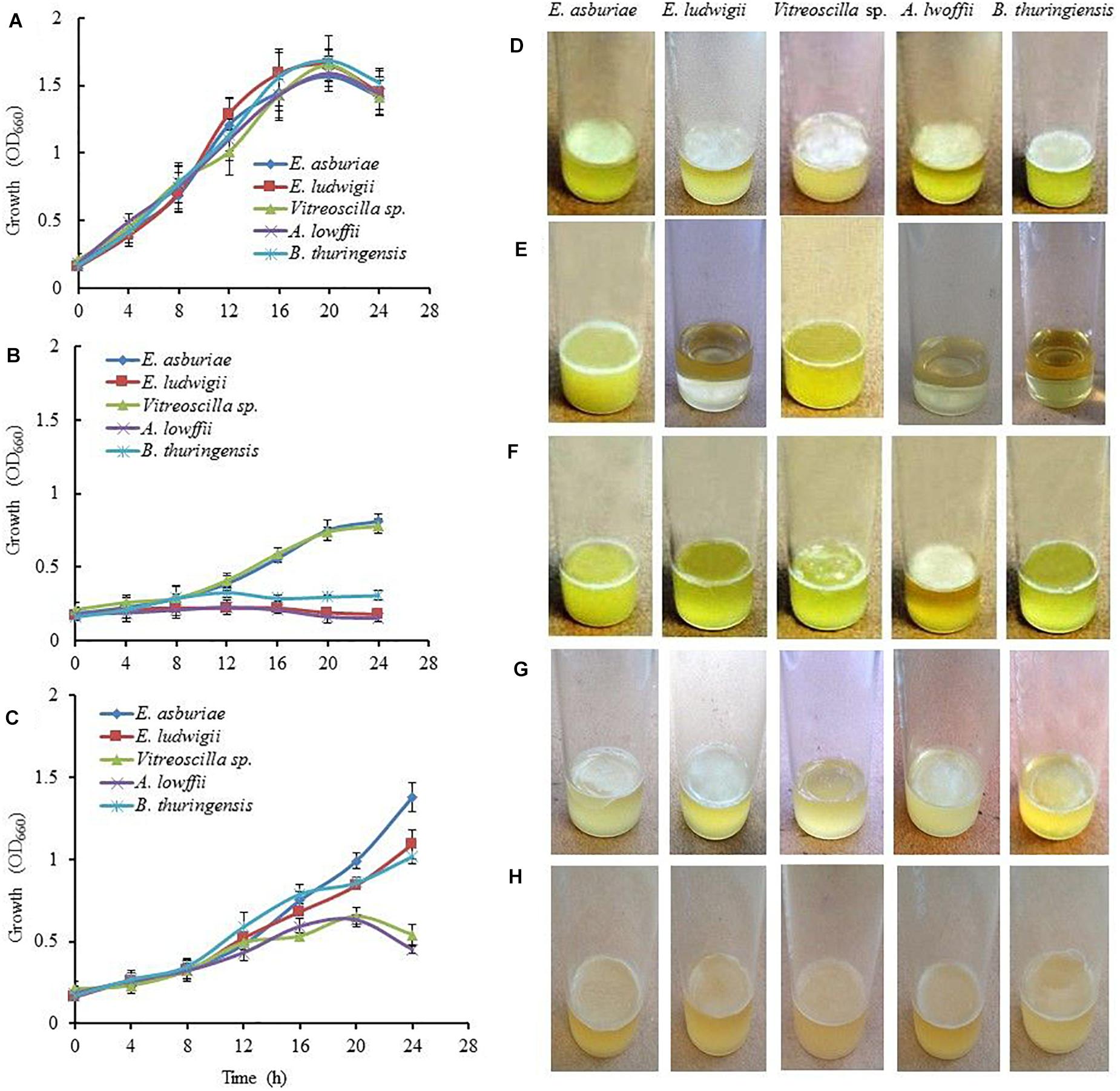 9.3 Media Used for Bacterial Growth – Microbiology: Canadian Edition